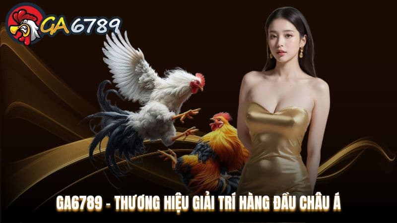 Đánh giá GA6789 dựa trên những yếu tố nào?