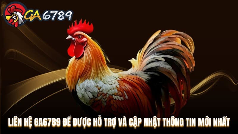 Vì sao nhiều người tin tưởng liên hệ GA6789?